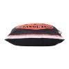 20x20" Halloween Pumpkin Pillow