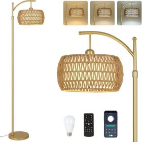 Floor Lamp With 3 Color Temperatures, LED Gold Floor Lamp With Remote & Stepless Dimmable Bulb, (Option: BrownGold)