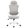 Ergonomic Office Computer Desk Chair, Mesh High Back Rolling Swivel Adjustable Task Chair with Headrest and Flip-up Armrests, Chair with Wheels, Black