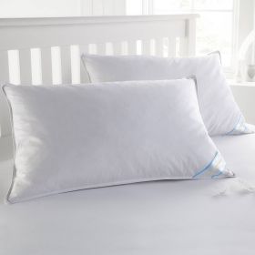 Beauty Sleep 2 Pack Down Alternative Pillow Set (size: Standard/Queen (Pack of 2))